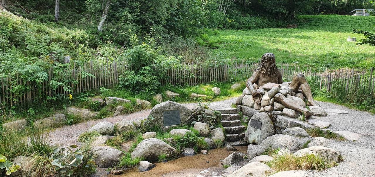 Black Forest Kuckucksnest Schönwalde المظهر الخارجي الصورة