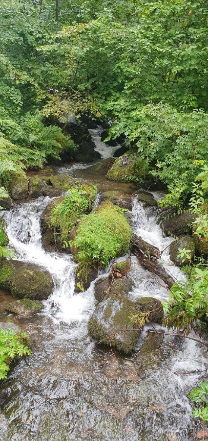 Black Forest Kuckucksnest Schönwalde المظهر الخارجي الصورة
