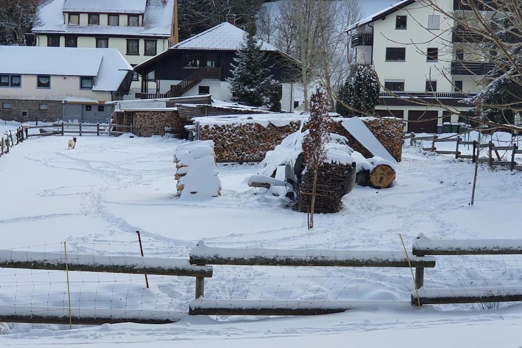 Black Forest Kuckucksnest Schönwalde المظهر الخارجي الصورة