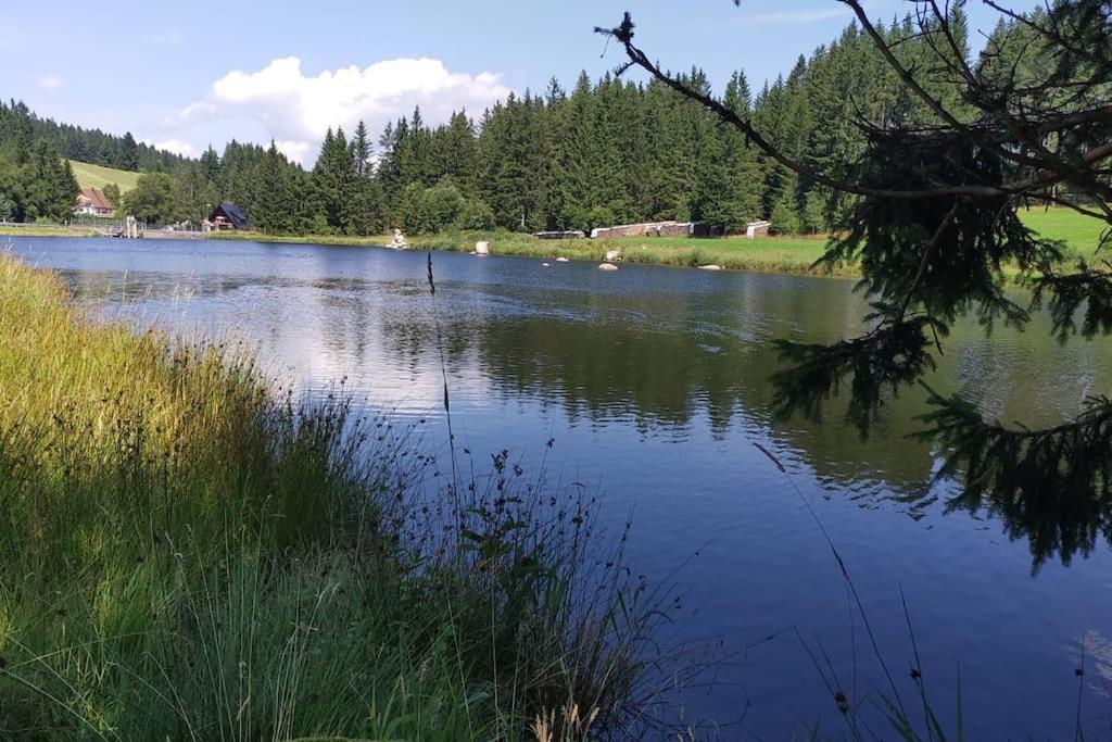 Black Forest Kuckucksnest Schönwalde المظهر الخارجي الصورة
