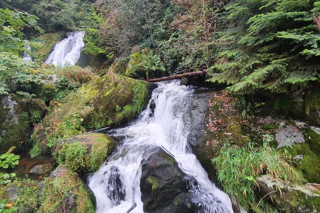 Black Forest Kuckucksnest Schönwalde المظهر الخارجي الصورة
