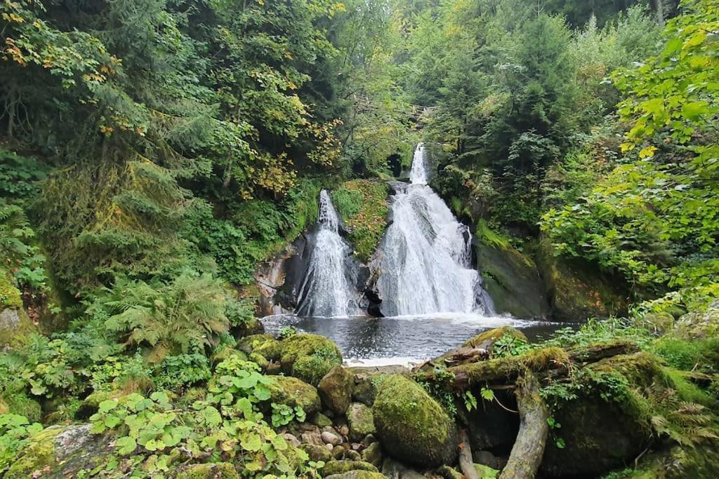 Black Forest Kuckucksnest Schönwalde المظهر الخارجي الصورة